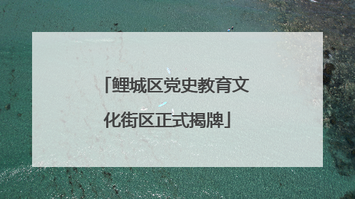 鲤城区党史教育文化街区正式揭牌