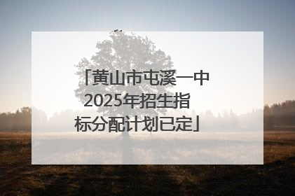 黄山市屯溪一中2025年招生指标分配计划已定