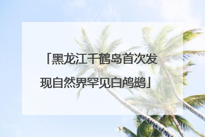 黑龙江千鹤岛首次发现自然界罕见白鸬鹚