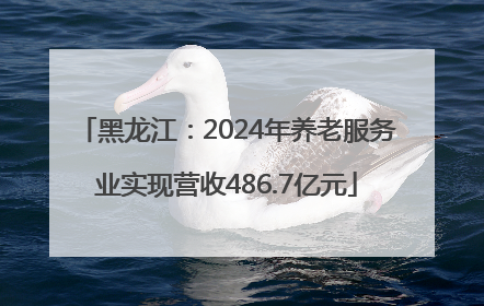 黑龙江：2024年养老服务业实现营收486.7亿元