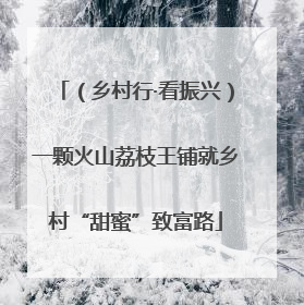 （乡村行·看振兴）一颗火山荔枝王铺就乡村“甜蜜”致富路