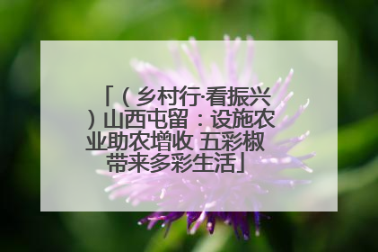 （乡村行·看振兴）山西屯留：设施农业助农增收 五彩椒带来多彩生活