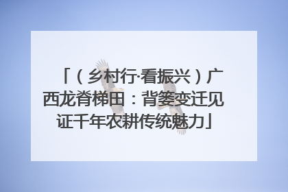（乡村行·看振兴）广西龙脊梯田：背篓变迁见证千年农耕传统魅力