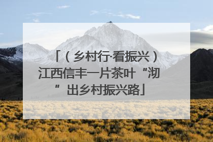 （乡村行·看振兴）江西信丰一片茶叶“沏”出乡村振兴路