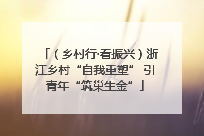 （乡村行·看振兴）浙江乡村“自我重塑” 引青年“筑巢生金”