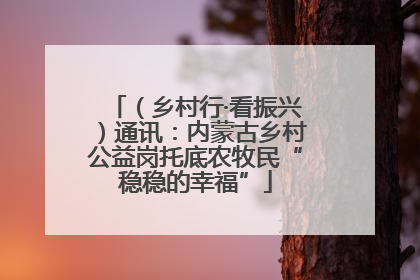 （乡村行·看振兴）通讯：内蒙古乡村公益岗托底农牧民“稳稳的幸福”