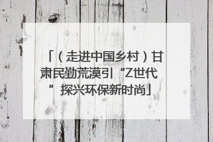 （走进中国乡村）甘肃民勤荒漠引“Z世代”探兴环保新时尚
