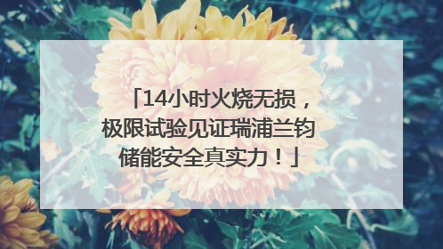 14小时火烧无损，极限试验见证瑞浦兰钧储能安全真实力！
