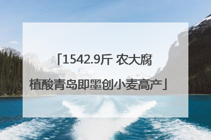 1542.9斤 农大腐植酸青岛即墨创小麦高产