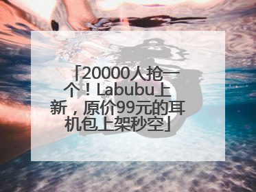 20000人抢一个！Labubu上新，原价99元的耳机包上架秒空