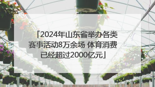 2024年山东省举办各类赛事活动8万余场 体育消费已经超过2000亿元