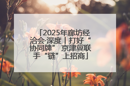 2025年廊坊经洽会·深度丨打好“协同牌” 京津冀联手“链”上招商