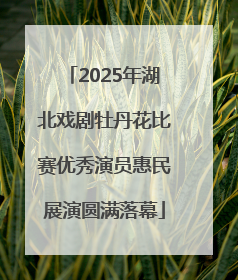 2025年湖北戏剧牡丹花比赛优秀演员惠民展演圆满落幕