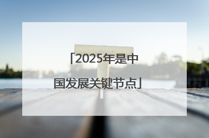 2025年是中国发展关键节点