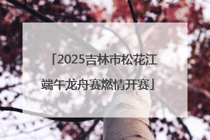 2025吉林市松花江端午龙舟赛燃情开赛