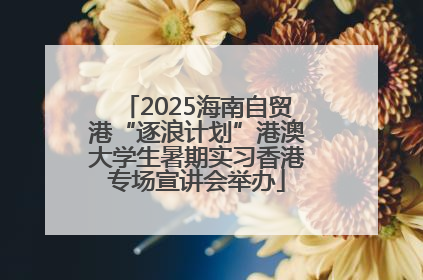 2025海南自贸港“逐浪计划”港澳大学生暑期实习香港专场宣讲会举办