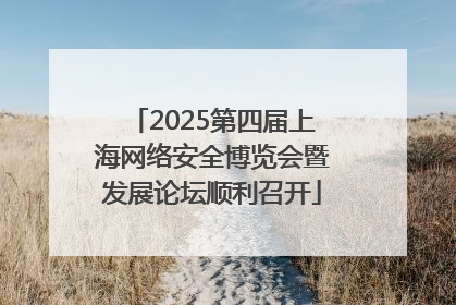 2025第四届上海网络安全博览会暨发展论坛顺利召开