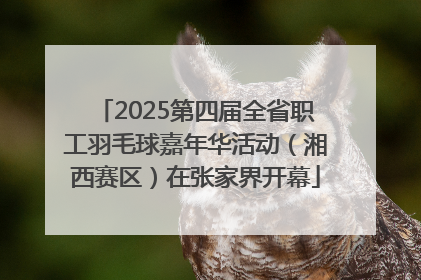 2025第四届全省职工羽毛球嘉年华活动（湘西赛区）在张家界开幕