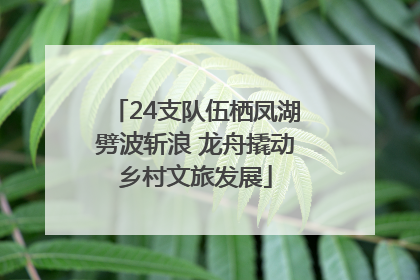 24支队伍栖凤湖劈波斩浪 龙舟撬动乡村文旅发展