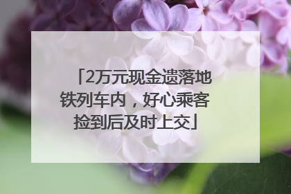 2万元现金遗落地铁列车内，好心乘客捡到后及时上交