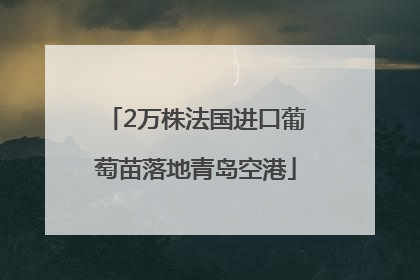 2万株法国进口葡萄苗落地青岛空港