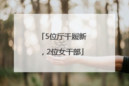 5位厅干履新，2位女干部