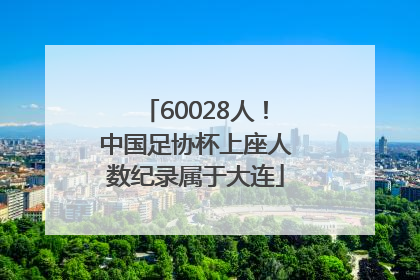 60028人！中国足协杯上座人数纪录属于大连