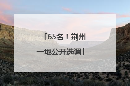 65名！荆州一地公开选调