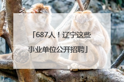 687人！辽宁这些事业单位公开招聘