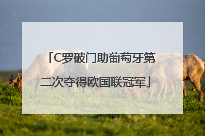 C罗破门助葡萄牙第二次夺得欧国联冠军