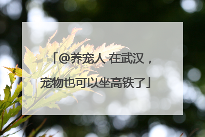 @养宠人 在武汉，宠物也可以坐高铁了