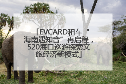 EVCARD租车“海南遇知音”再启程，520海口巡游探索文旅经济新模式