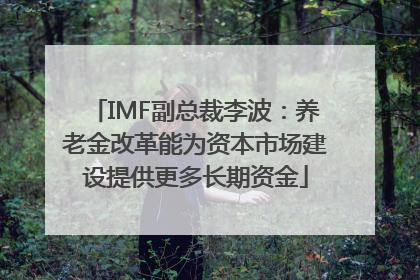 IMF副总裁李波：养老金改革能为资本市场建设提供更多长期资金