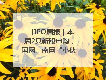 IPO周报｜本周2只新股申购，国网、南网“小伙伴”来了