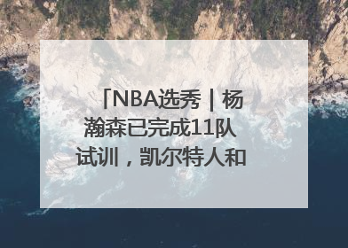 NBA选秀｜杨瀚森已完成11队试训，凯尔特人和太阳更适合他