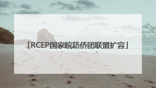 RCEP国家皖籍侨团联盟扩容