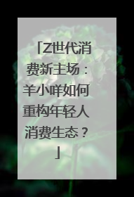 Z世代消费新主场：羊小咩如何重构年轻人消费生态？